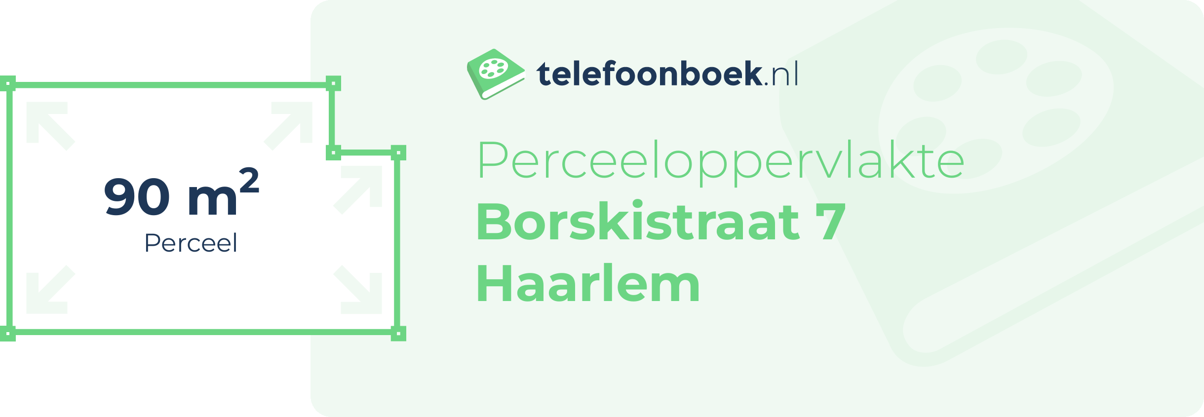 Perceeloppervlakte Borskistraat 7 Haarlem