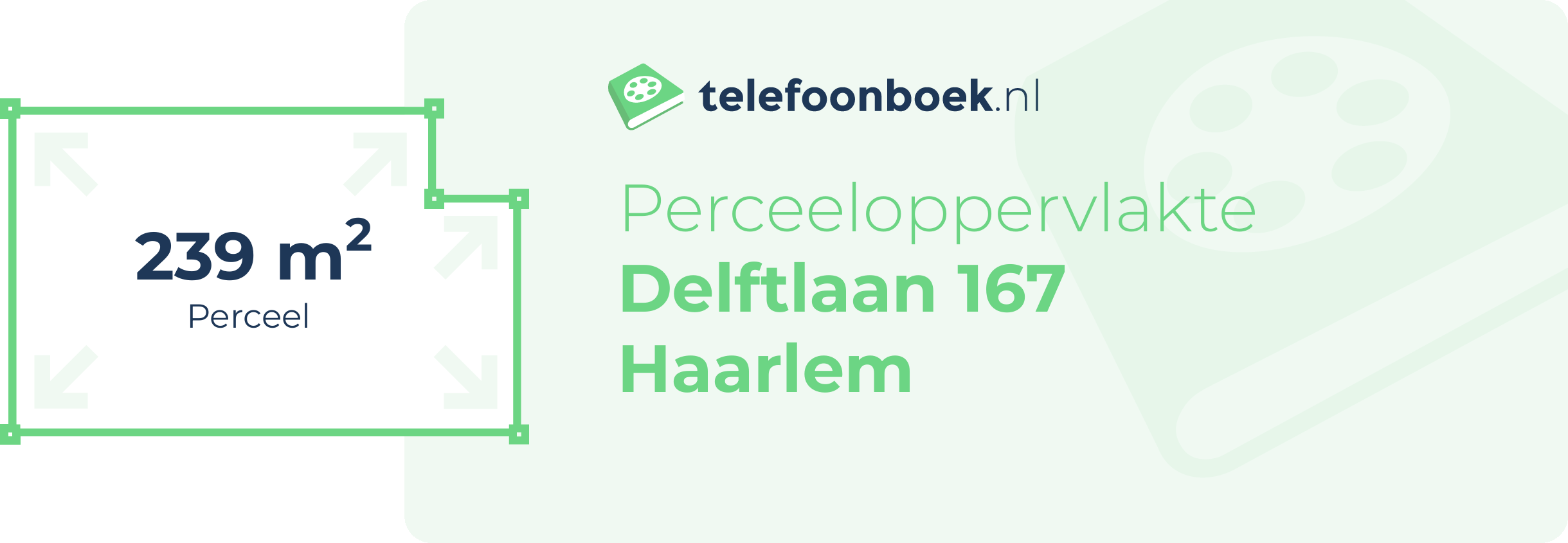 Perceeloppervlakte Delftlaan 167 Haarlem