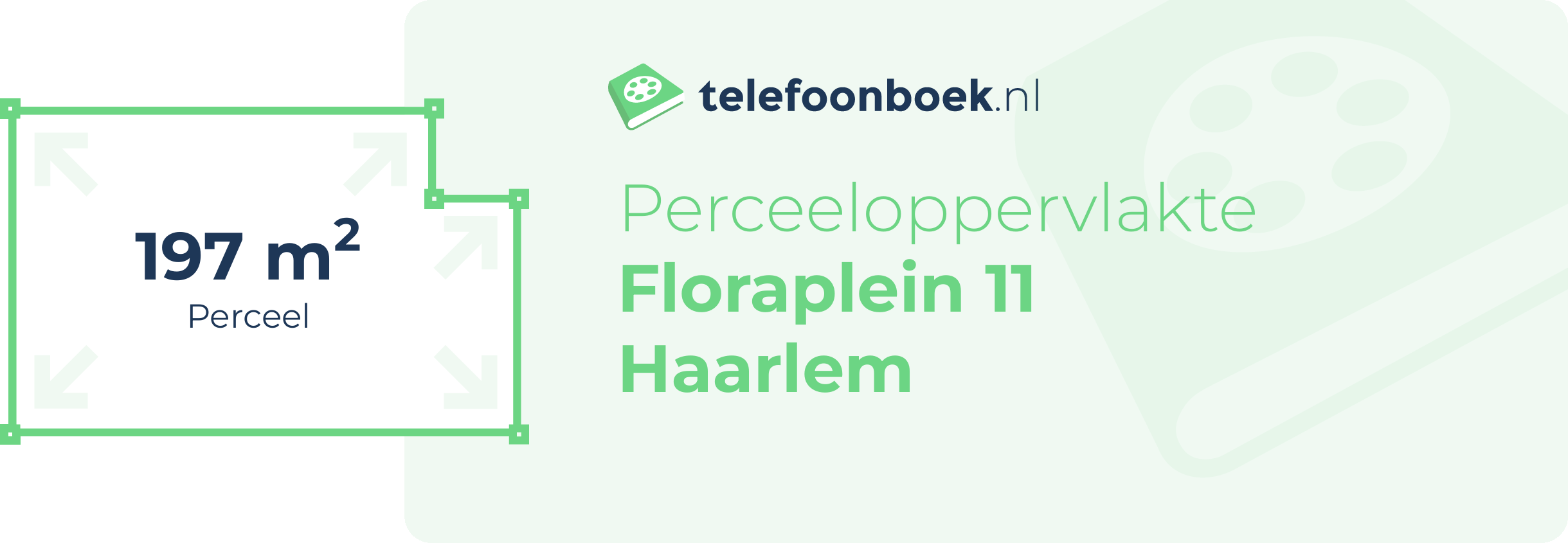 Perceeloppervlakte Floraplein 11 Haarlem