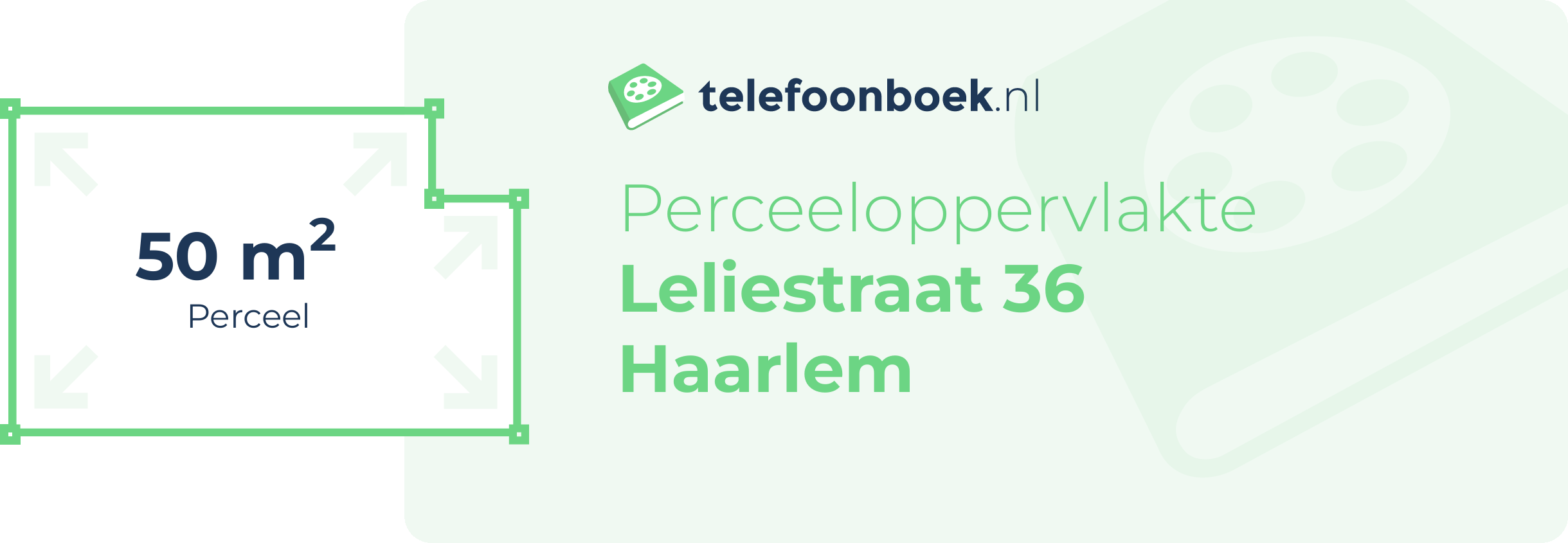 Perceeloppervlakte Leliestraat 36 Haarlem