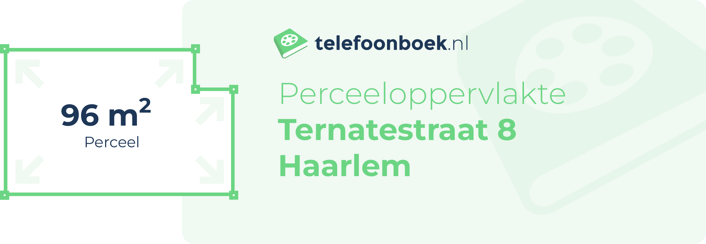 Perceeloppervlakte Ternatestraat 8 Haarlem